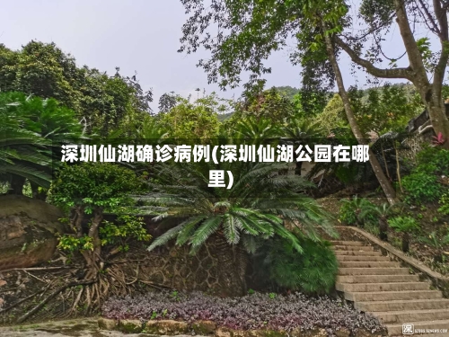 深圳仙湖确诊病例(深圳仙湖公园在哪里)
