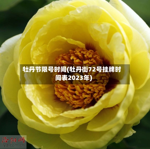 牡丹节限号时间(牡丹街72号挂牌时间表2023年)