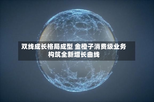 双线成长格局成型 金橙子消费级业务构筑全新增长曲线