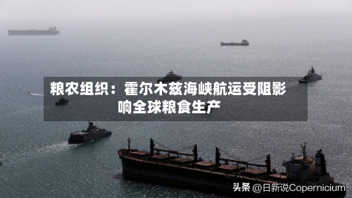 粮农组织：霍尔木兹海峡航运受阻影响全球粮食生产