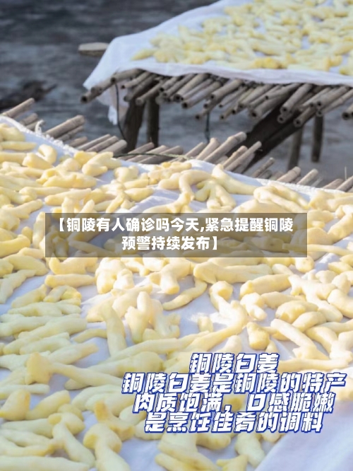 【铜陵有人确诊吗今天,紧急提醒铜陵预警持续发布】