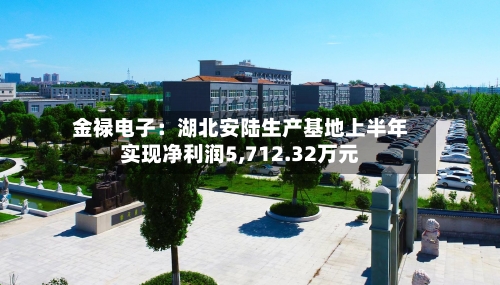 金禄电子：湖北安陆生产基地上半年实现净利润5,712.32万元