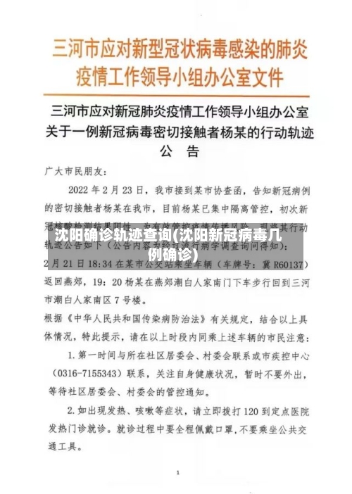 沈阳确诊轨迹查询(沈阳新冠病毒几例确诊)
