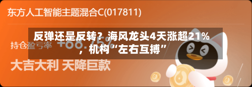 反弹还是反转？海风龙头4天涨超21%，机构“左右互搏”