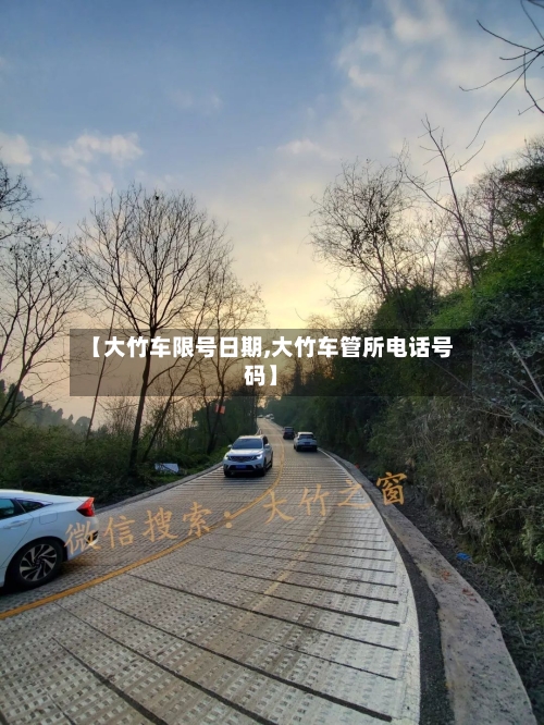 【大竹车限号日期,大竹车管所电话号码】