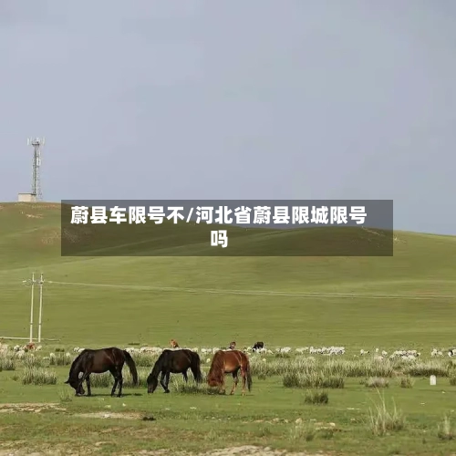 蔚县车限号不/河北省蔚县限城限号吗