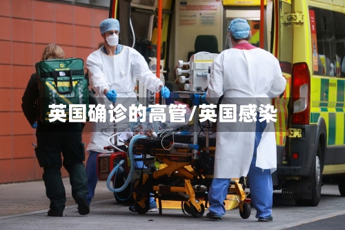 英国确诊的高管/英国感染