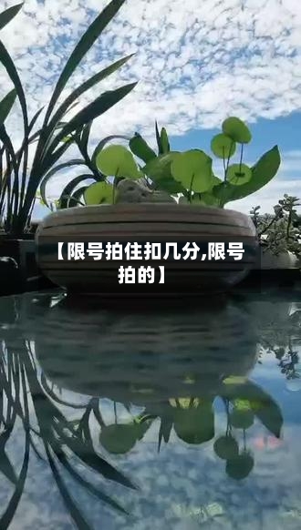 【限号拍住扣几分,限号拍的】
