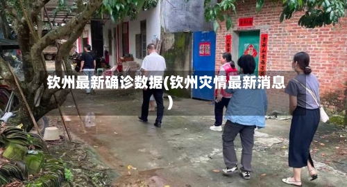 钦州最新确诊数据(钦州灾情最新消息)