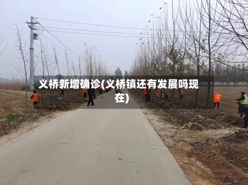 义桥新增确诊(义桥镇还有发展吗现在)
