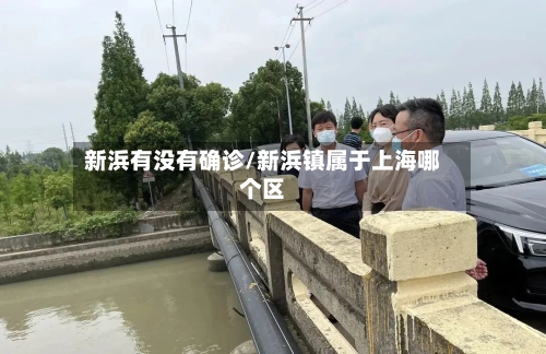新浜有没有确诊/新浜镇属于上海哪个区