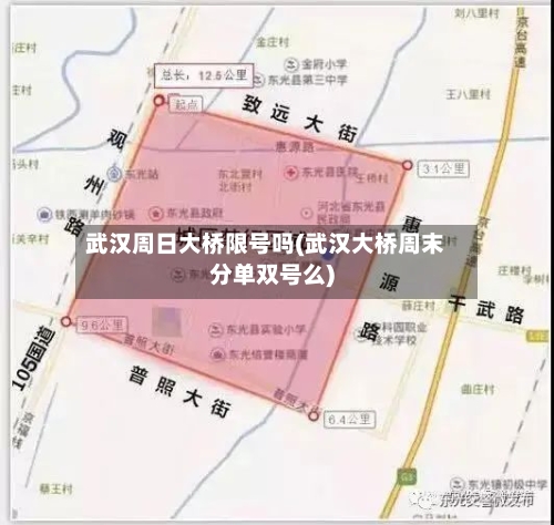 武汉周日大桥限号吗(武汉大桥周末分单双号么)