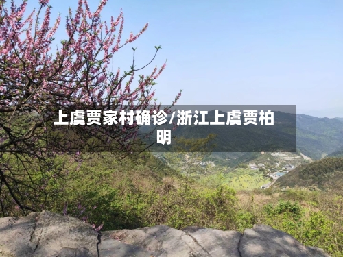 上虞贾家村确诊/浙江上虞贾柏明