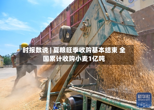 时报数说 | 夏粮旺季收购基本结束 全国累计收购小麦1亿吨-第1张图片