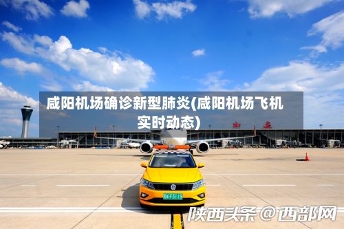 咸阳机场确诊新型肺炎(咸阳机场飞机实时动态)