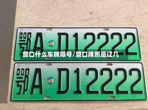 营口什么车牌限号/营口牌照是辽几