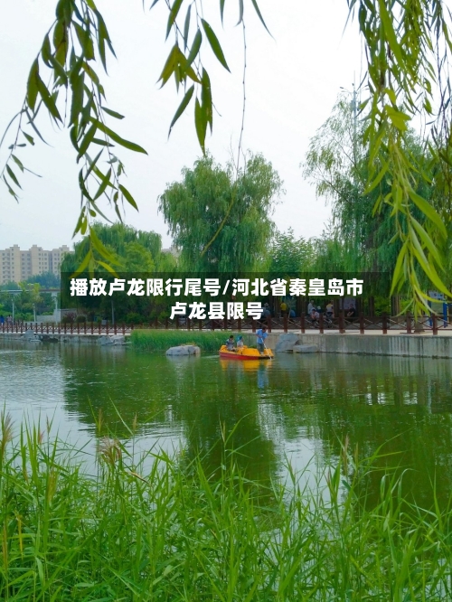 播放卢龙限行尾号/河北省秦皇岛市卢龙县限号