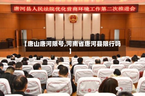 【唐山唐河限号,河南省唐河县限行吗】