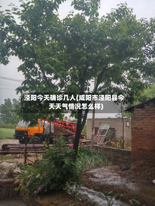 泾阳今天确诊几人(咸阳市泾阳县今天天气情况怎么样)