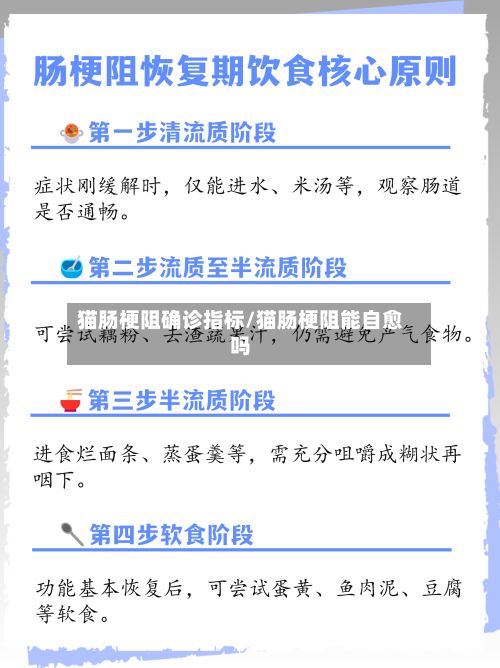 猫肠梗阻确诊指标/猫肠梗阻能自愈吗