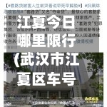江夏今日哪里限行(武汉市江夏区车号限行吗)