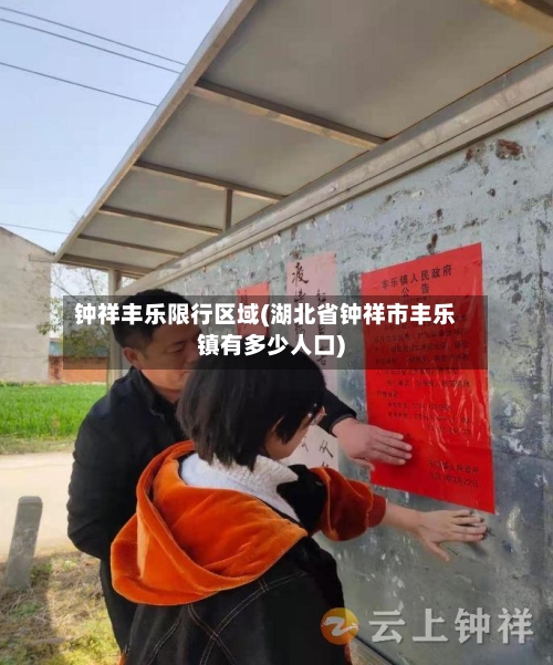 钟祥丰乐限行区域(湖北省钟祥市丰乐镇有多少人口)
