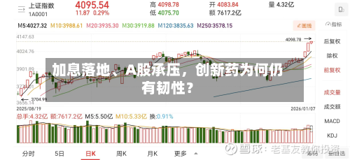 加息落地、A股承压,创新药为何仍有韧性?