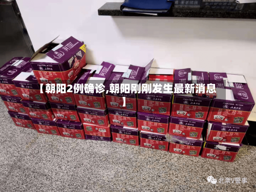 【朝阳2例确诊,朝阳刚刚发生最新消息】