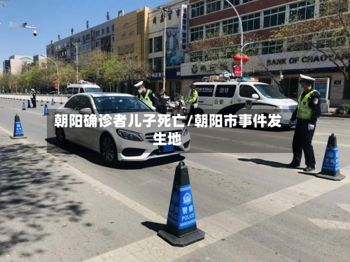 朝阳确诊者儿子死亡/朝阳市事件发生地