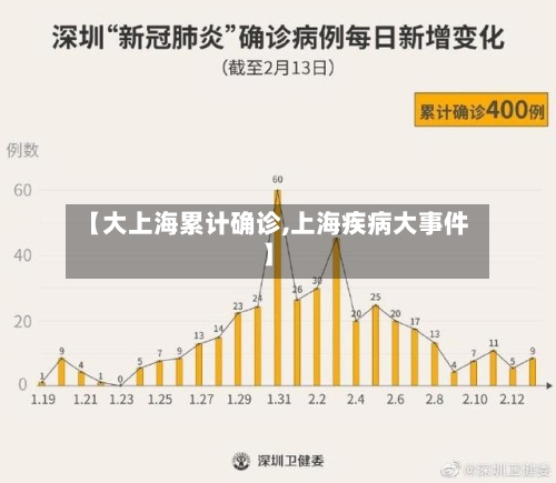 【大上海累计确诊,上海疾病大事件】
