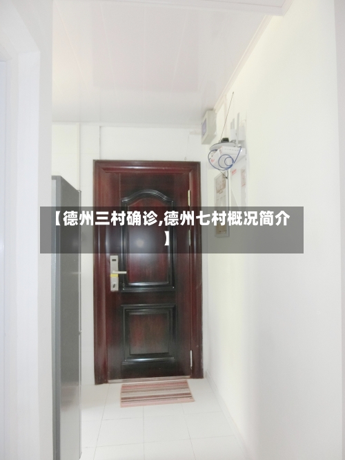 【德州三村确诊,德州七村概况简介】