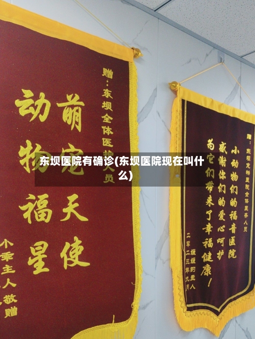 东坝医院有确诊(东坝医院现在叫什么)