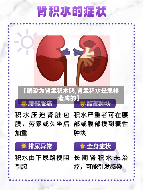 【确诊为肾盂积水吗,肾盂积水是怎样造成的】