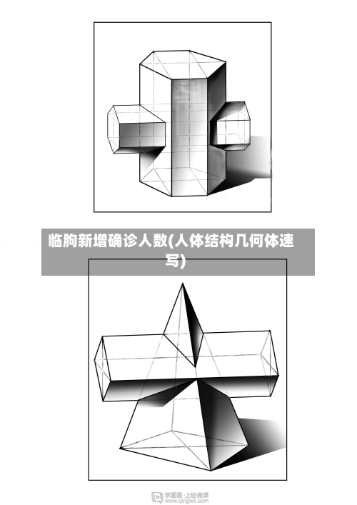 临朐新增确诊人数(人体结构几何体速写)