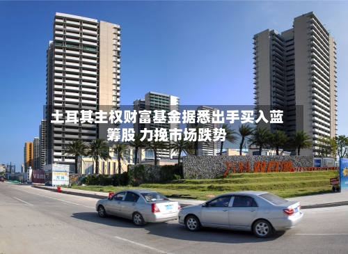 土耳其主权财富基金据悉出手买入蓝筹股 力挽市场跌势