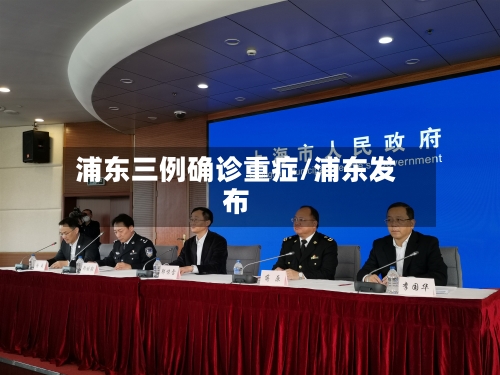 浦东三例确诊重症/浦东发布