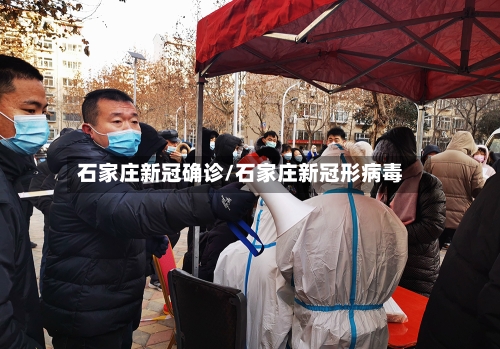 石家庄新冠确诊/石家庄新冠形病毒-第1张图片
