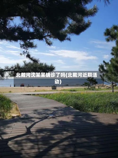 北戴河沈某某确诊了吗(北戴河近期活动)