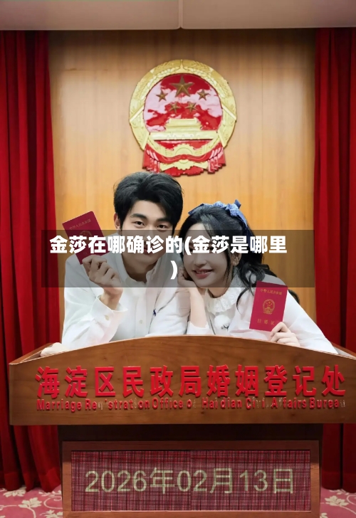 金莎在哪确诊的(金莎是哪里)