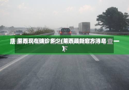 莱西现在确诊多少(莱西最新官方消息)
