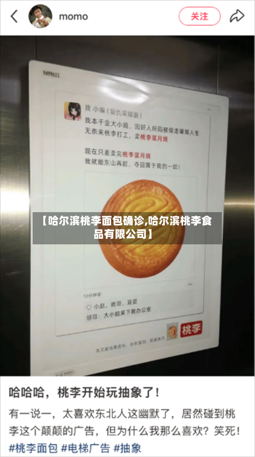 【哈尔滨桃李面包确诊,哈尔滨桃李食品有限公司】