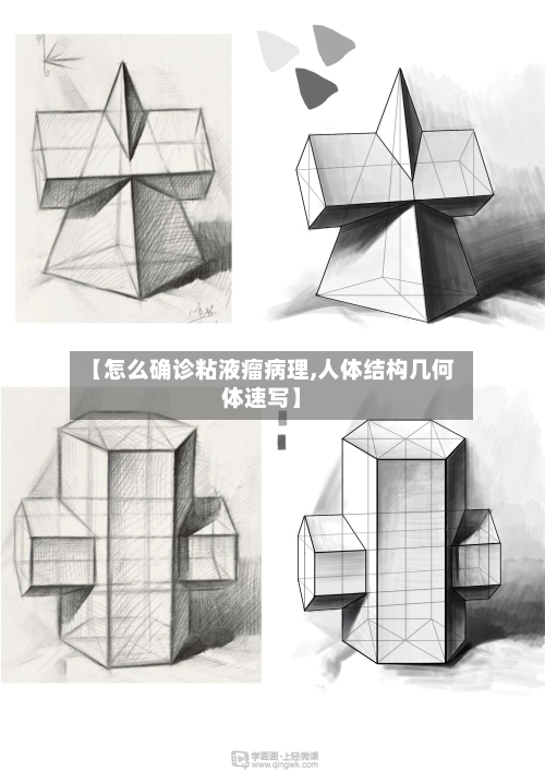 【怎么确诊粘液瘤病理,人体结构几何体速写】