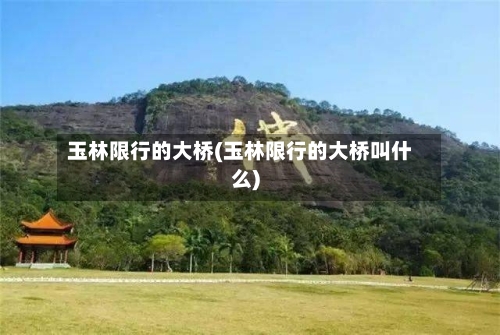 玉林限行的大桥(玉林限行的大桥叫什么)