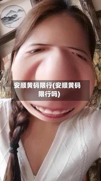 安顺黄码限行(安顺黄码限行吗)
