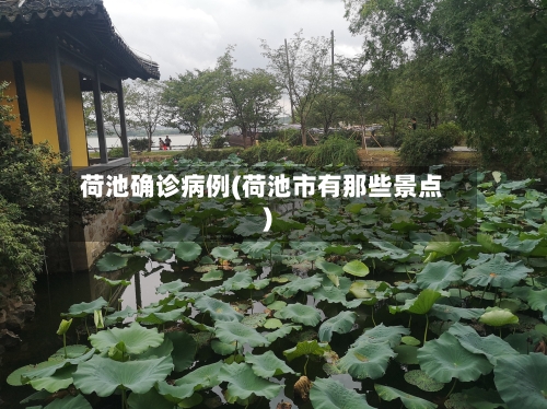 荷池确诊病例(荷池市有那些景点)