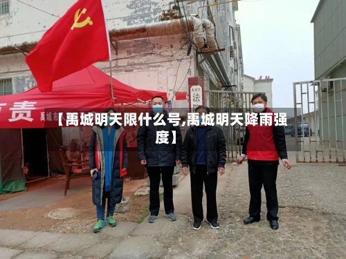 【禹城明天限什么号,禹城明天降雨强度】
