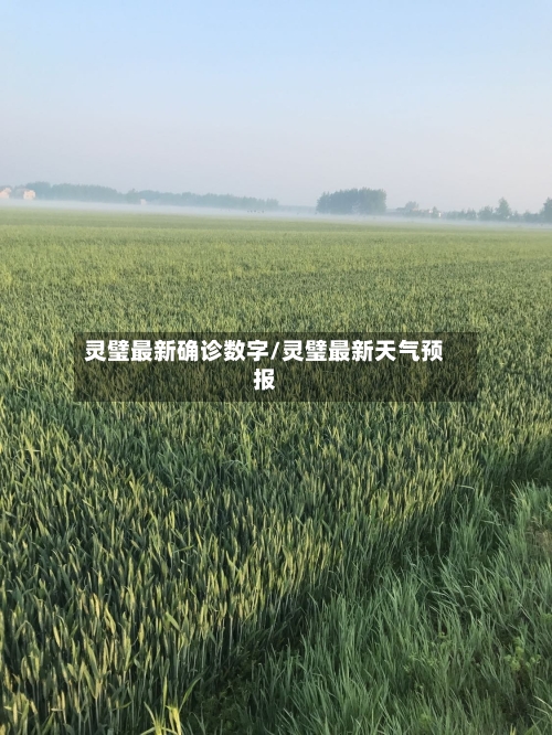 灵璧最新确诊数字/灵璧最新天气预报