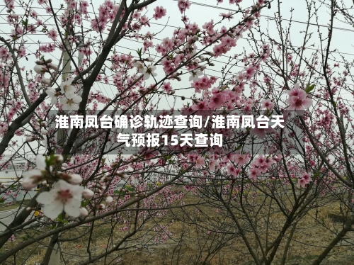 淮南凤台确诊轨迹查询/淮南凤台天气预报15天查询