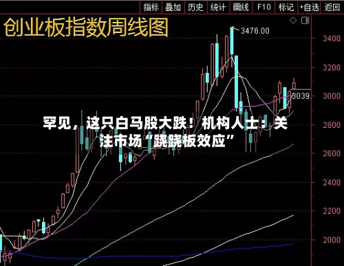 罕见，这只白马股大跌！机构人士：关注市场“跷跷板效应”
