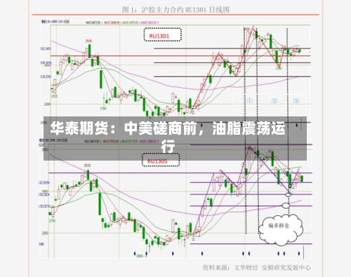 华泰期货：中美磋商前，油脂震荡运行-第1张图片